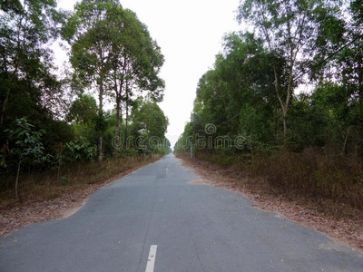 越南一条漫长的空旷乡村道路