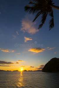 华盛顿州 冲浪 美丽的 轮廓 自然 日落 棕榈 栅栏 岛屿