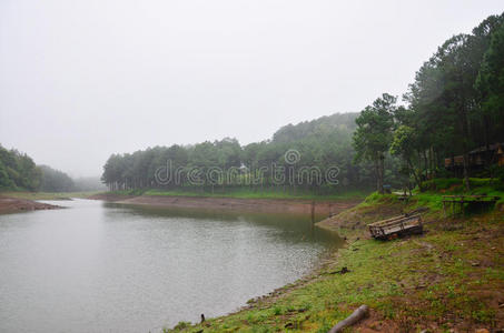 植物 美女 风景 商行 亚洲 水库 森林 反射 小山 自然