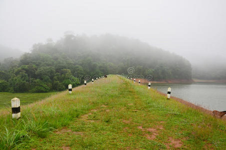 自然 水坝 森林 早晨 公园 反射 小山 水库 下雨 美女