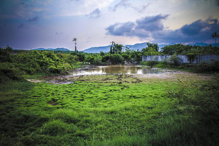 泰国乡村农场壁纸