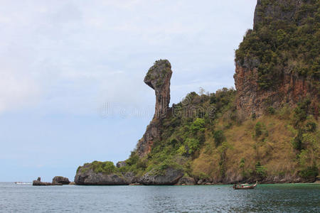 海湾 海洋 自然 泰语 岩石 公司 植物 安达曼 花茎 海的