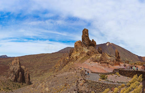 特内里费岛泰德火山金丝雀