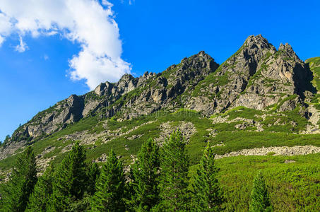 斯洛伐克高塔特拉山的绿色夏季景观