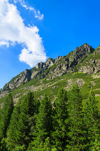 斯洛伐克高塔特拉山的绿色夏季景观