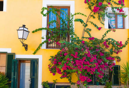 植物 巴利阿里 帕尔马 古老的 观光 街道 植物区系 粉红色