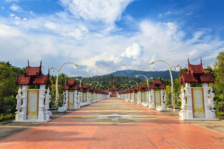 旅行 佛教 泰国 公园 吸引力 崇拜 佛教徒 大厅 清迈