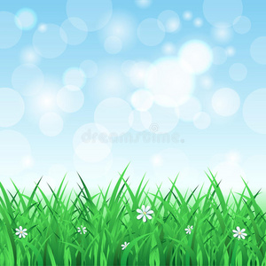 春天 花园 环境 阳光 草坪 波基 闪耀 自然 复活节 太阳