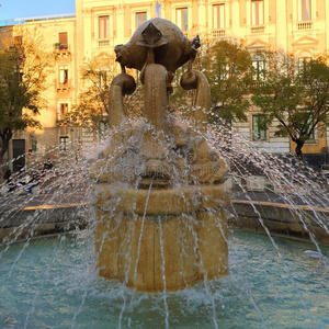 街道 旅行 建筑学 喷泉 西西里岛 剧院 主广场 旅游 意大利