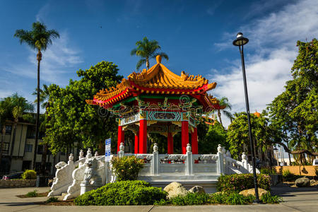 美丽的 棕榈 风景 市中心 亭阁 河边 天空 城市 中国人