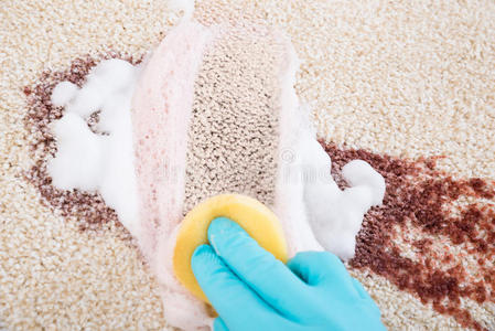 消毒 雷莫 地毯 卫生 家庭 家务 打扫 地板 手套 液体