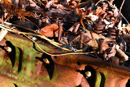 废旧物品 金属 纹理 腐蚀 被遗弃的 毁了 森林 发动机