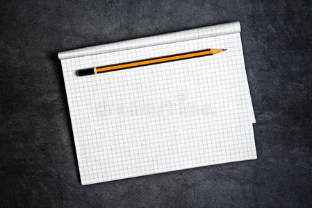 创造力 品牌 文案 纸张 复制 铅笔 办公室 定制 笔记本
