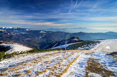 场景 美女 霍尔 太阳 美丽的 圣诞节 降雪 日出 天空