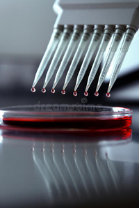 生物学 控制 生物技术 玻璃器皿 生物化学 液体 工具 医学