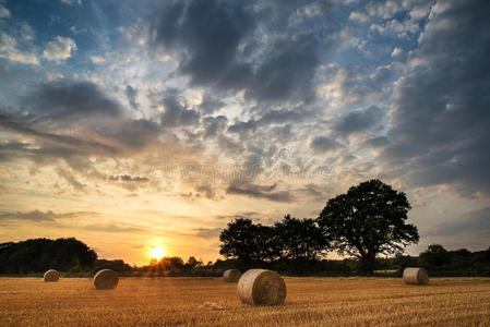 草地上夏日夕阳的乡村景观图像