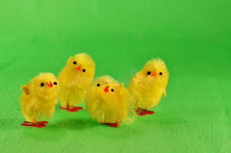 多彩的小鸡图片