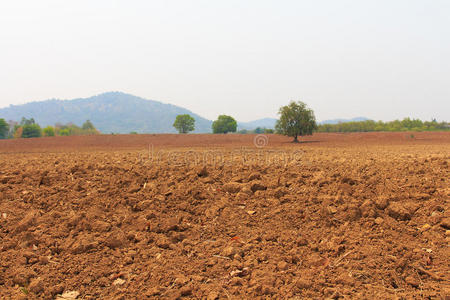 风景 乡村 英亩 收获 成长 土地 栽培 污垢 领域 农场
