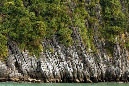 海洋 自然 石灰石 海湾 喀斯特 小山 风景 植物 高的