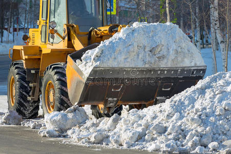 城市 挖掘 清洁剂 寒冷的 雪球 去除 移动 公园 挖掘机