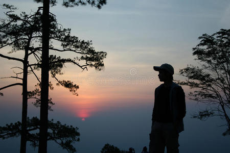 轮廓 美丽的 华盛顿州 太阳 暮光 风景 季节 外部 日落