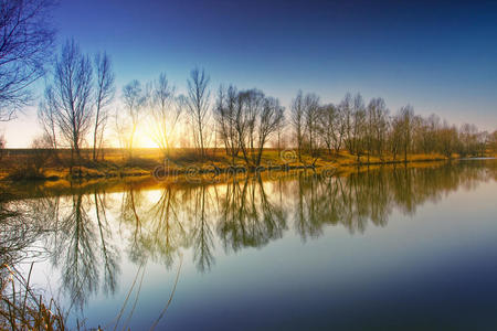 地平线 反射 美丽的 太阳 日落 场景 早晨 季节 风景