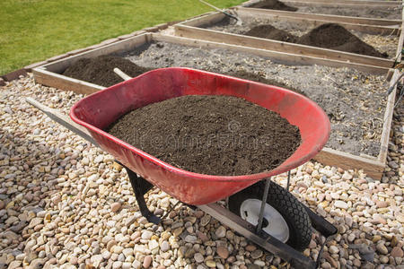 后院 地面 园林绿化 园丁 帮助 照顾 园艺 堆肥 种植