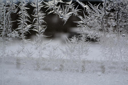 水晶雪花在17号窗户上