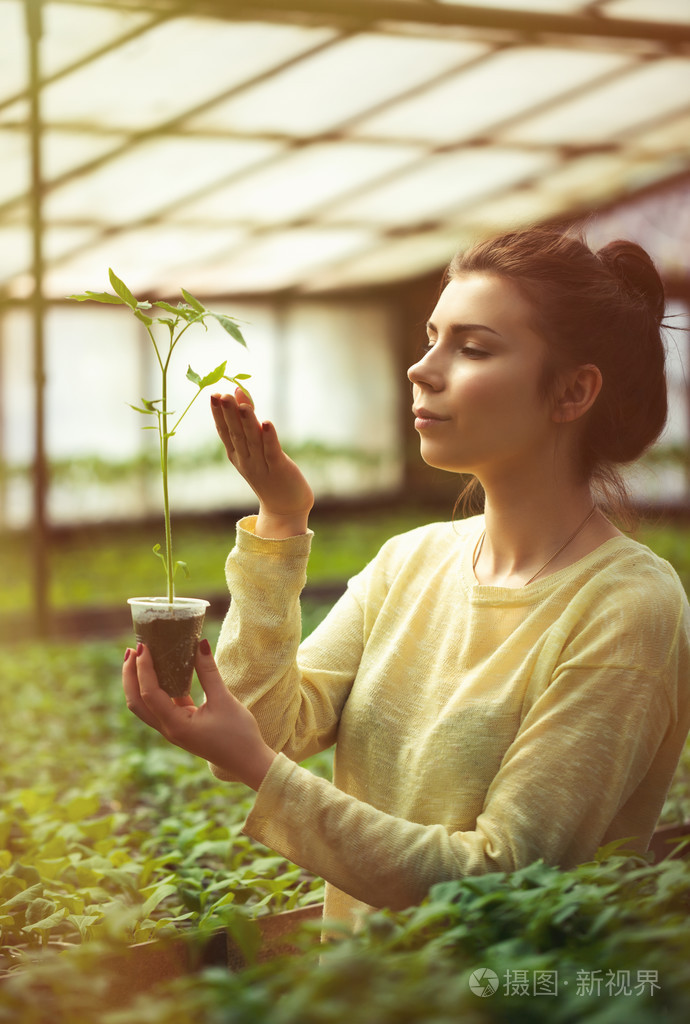 抱着绿苗的女孩在阳光明媚的温室里