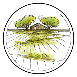 手工素描葡萄的田地和葡萄园葡萄园原始手绘集合在山上用小路和房子画