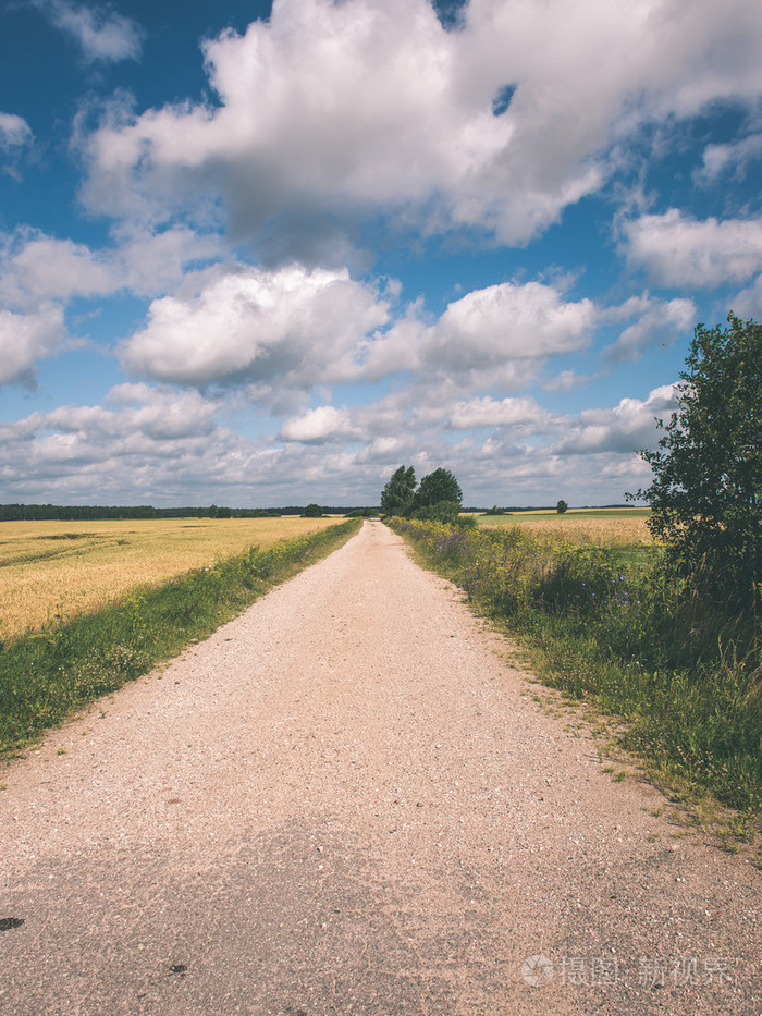 简单的乡间小路在夏天怀旧电影效果
