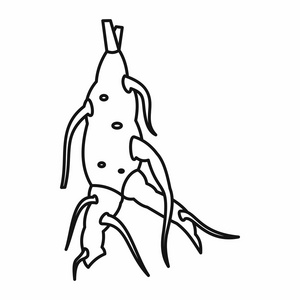 人参三七根图标,大纲样式简单的无缝图案与现实的植物墨素描人参花在