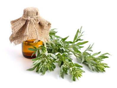 黄花蒿, 艾蒿, 艾草和山艾树照片