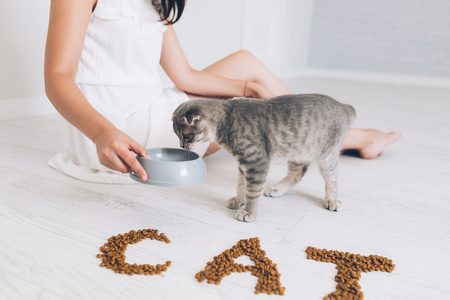 女孩喂养灰色猫