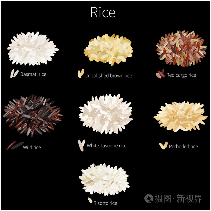 不同水稻品种