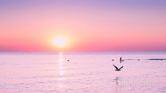 早晨大海太阳图片大全图片