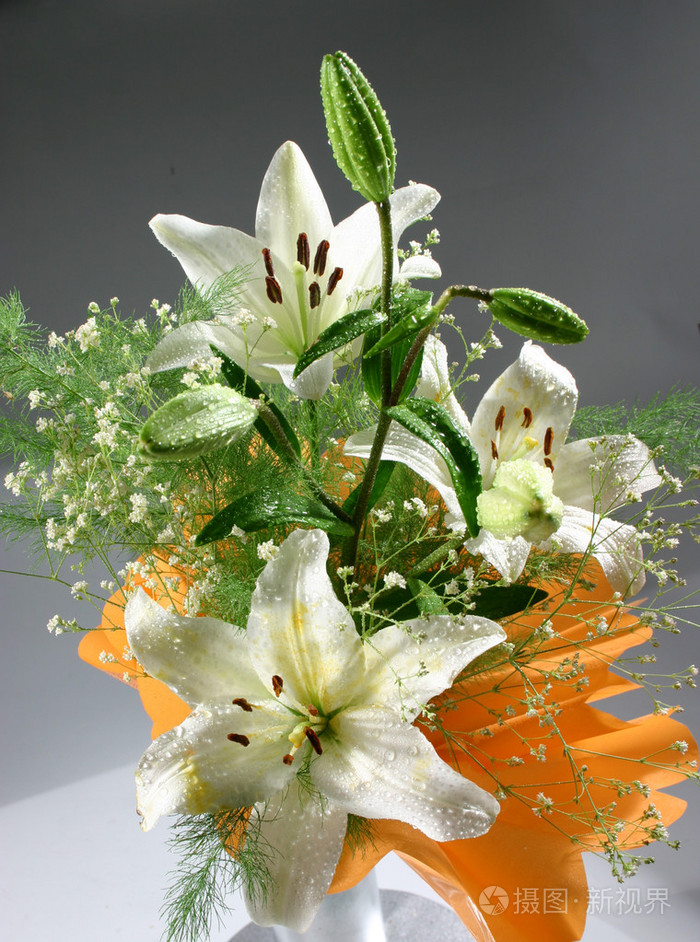 一束白色百合和露珠