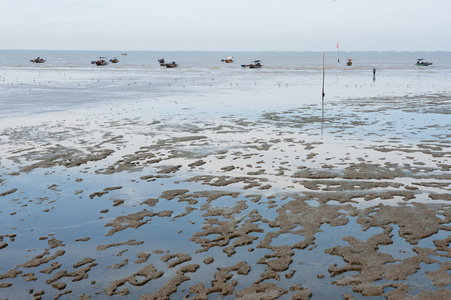 泥岸海景湿土地图片