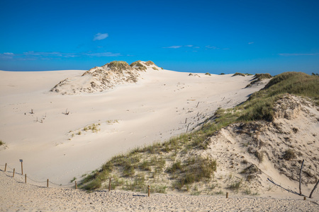 流动沙丘在斯沃温斯基国家公园,波兰照片