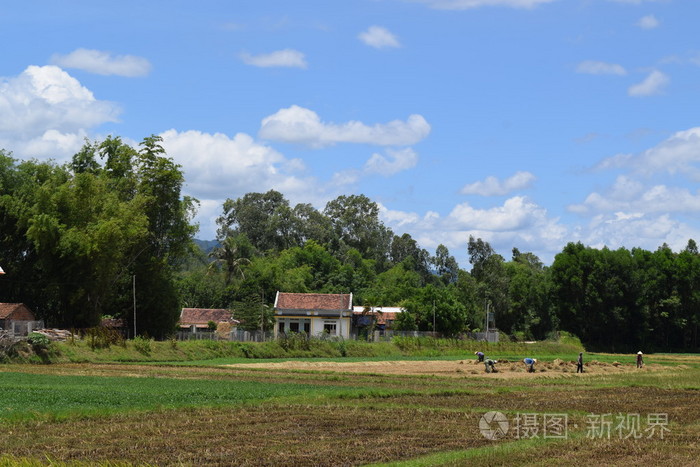 在越南农村农村