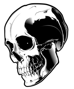 具尸体恶魔的骷髅的形象.矢量图照片