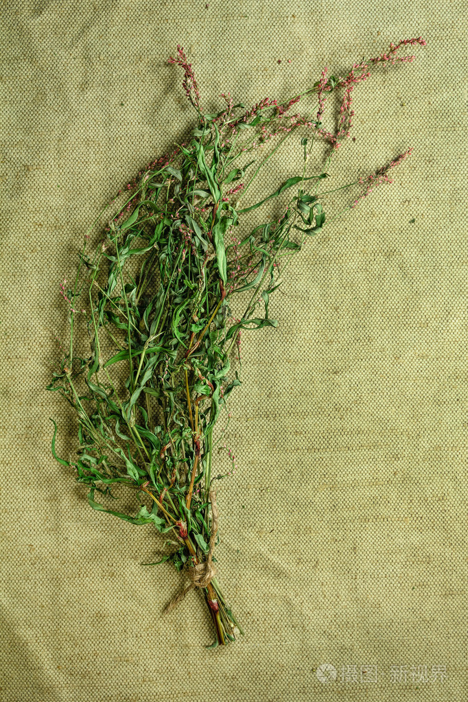 persicaria 辣蓼.干的香草.中草药,植物疗法