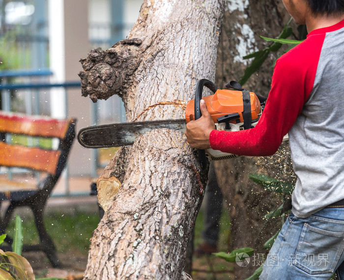 男子工人切割木材树用链锯