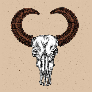 手绘制的点工作纹身风格水牛头骨.美国原住民插画