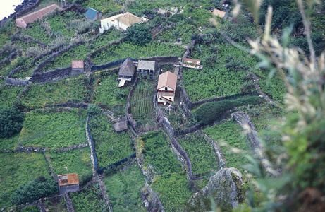 绿色小山上的村庄梯田景观图片