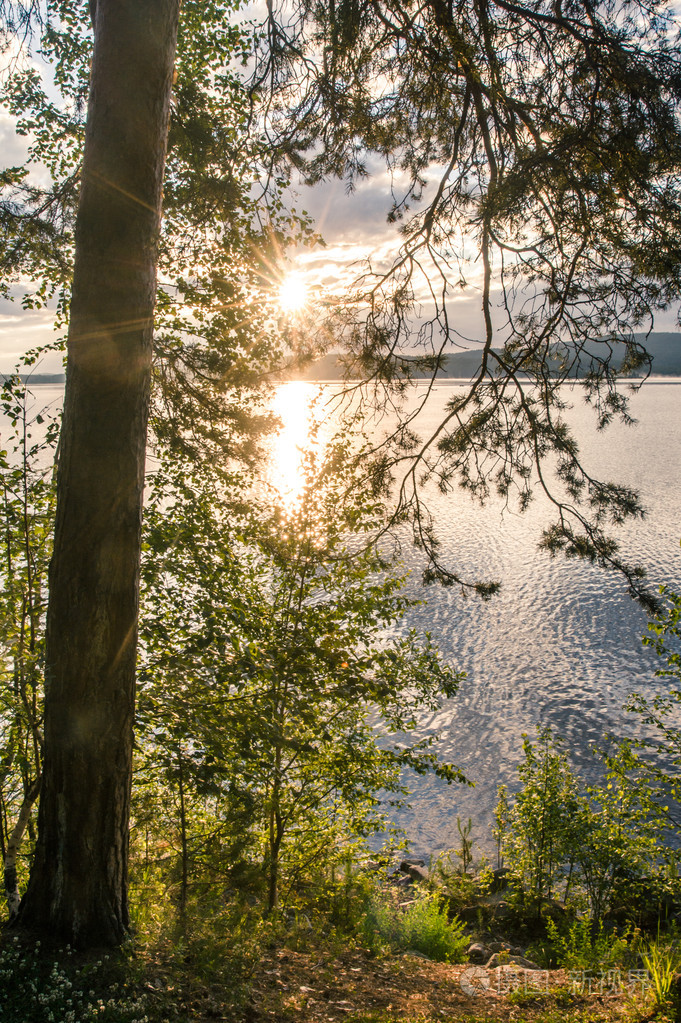 森林湖畔明亮的日出
