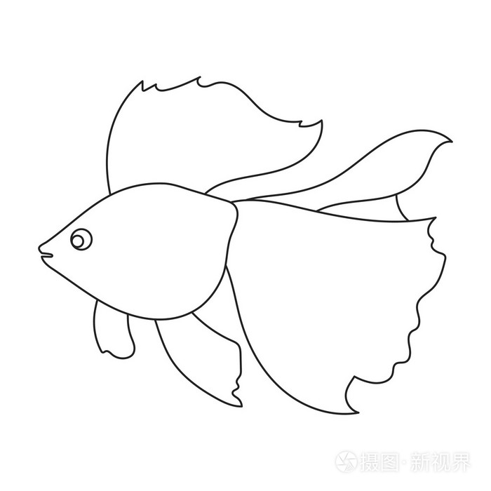 烧水族馆鱼图标从海,海洋生活组插画-正版商用图片1pgnur-摄图新视界