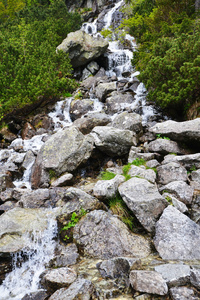 山坡上的水流图片