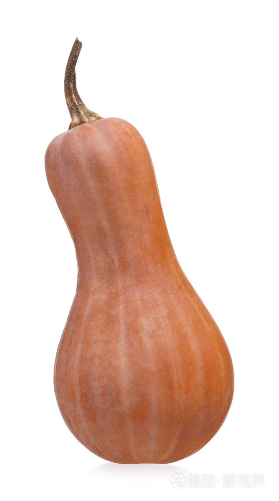 橙色长南瓜