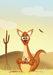 澳大利亚袋鼠在沙漠中图片